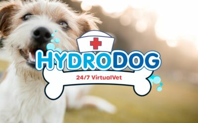 Interview with Kylee Hudson: Exploring HydroDog’s Innovative VirtualVet Service