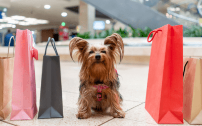 Store Pet Policy Omaha: Navigating Pet-Friendly Shopping