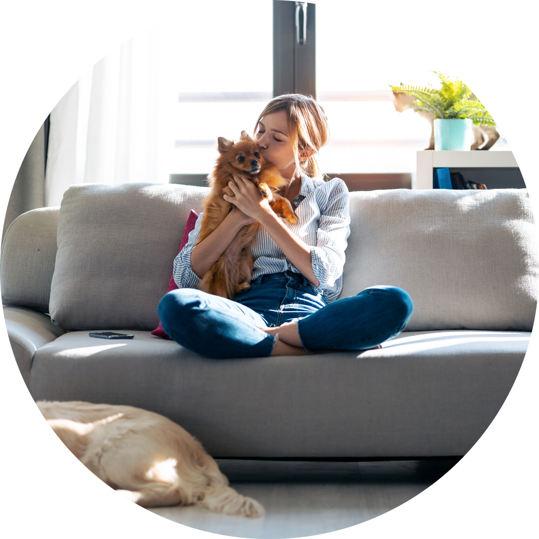 woman kissing her little cute dog while sitting in couch with her dogs at home