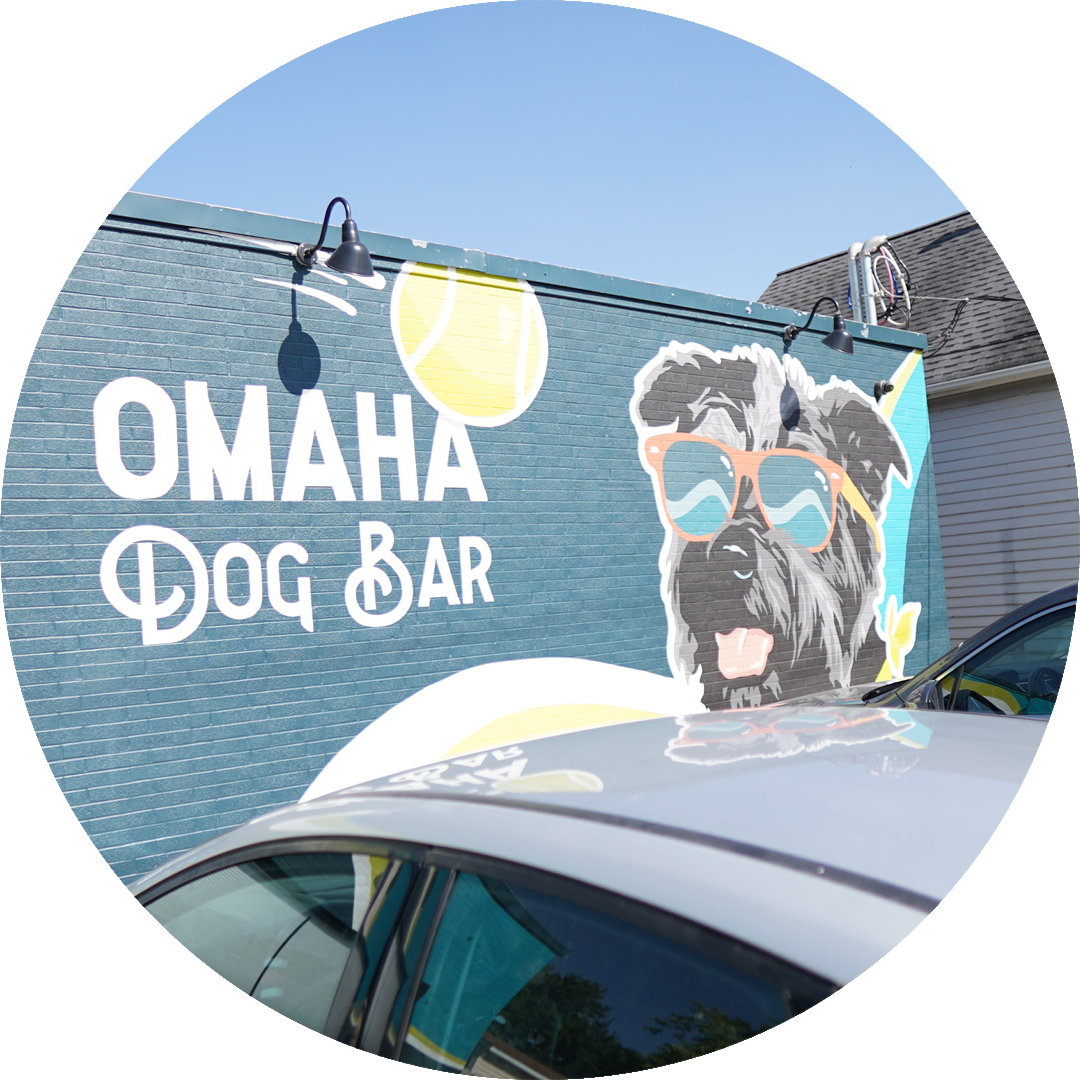 outside of the omaha dog bar in omaha nebraska