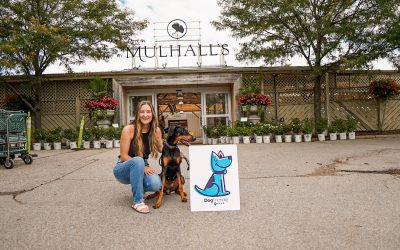 Mulhall’s: Gardening and Dog Gathering