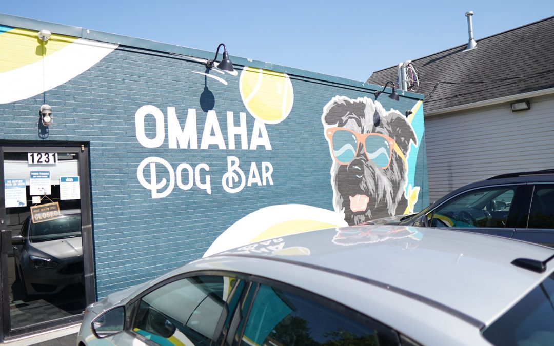 outside of the building of omaha dog bar