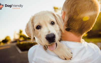 When Can a Puppy Go to a Dog Park: Preparing Your Puppy for Omaha’s Dog Parks